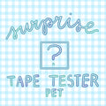Surprise Tape Tester | PET | Journaling Essentials, Stationery Supply
