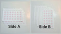 Memo Sample 5