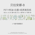 PET Tape Loops 4 (12)